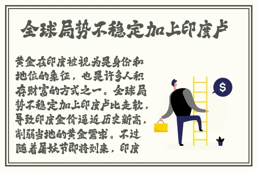 新版金银瓶一级l